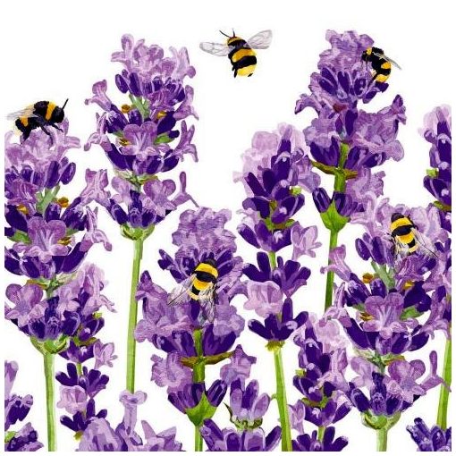 Bees & Lavender papírszalvéta 33x33cm, 20db-os