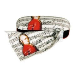   Szemüvegtok textilbevonatú törlőkendővel, 16x4x6,5cm, Mozart