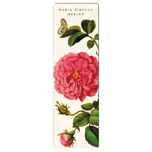 Könyvjelző 5x16cm, Maria Sibylla Merian: Rose, large