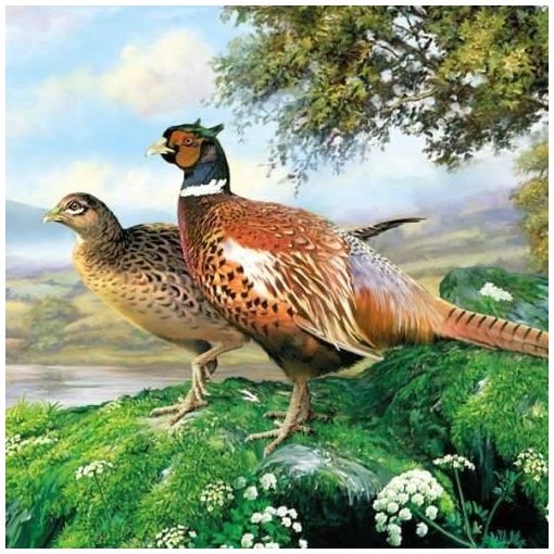 Ambiente Pheasant papírszalvéta 33x33cm, 20db-os