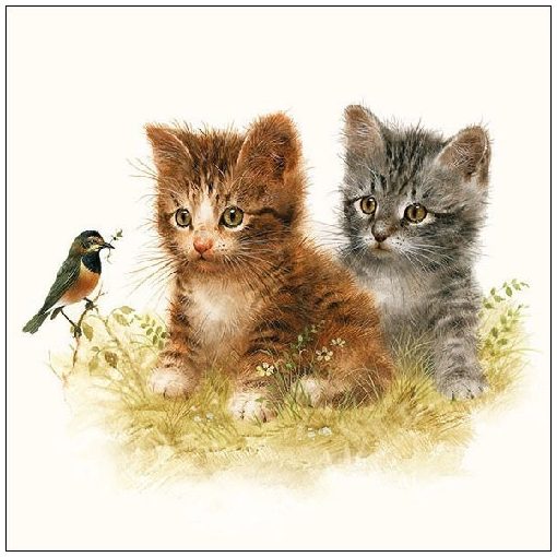 Kitten Friends papírszalvéta 33x33cm, 20db-os