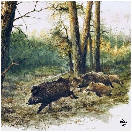 Wild Boars in the Woods papírszalvéta 33x33cm, 20db-os