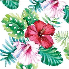 Hibiscus Floral White papírszalvéta 33x33cm, 20db-os