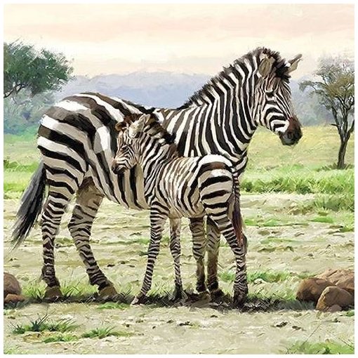 Zebras papírszalvéta 33x33cm, 20db-os