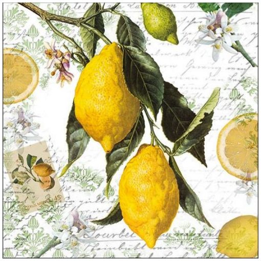 Lemon papírszalvéta 33x33cm, 20db-os