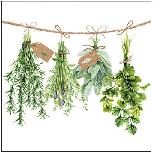 Fresh Herbs papírszalvéta 33x33cm, 20db-os