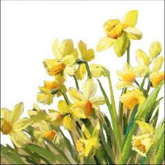 Golden Daffodils papírszalvéta 33x33cm, 20db-os