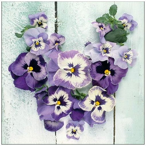 Pansy Heart papírszalvéta 33x33cm, 20db-os