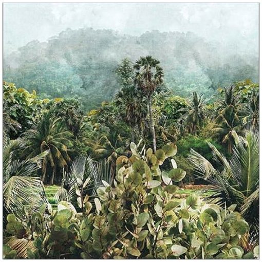 Rain Forrest papírszalvéta 33x33cm, 20db-os