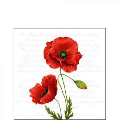 Ambiente Proud Poppy papírszalvéta 25x25cm, 20db-os