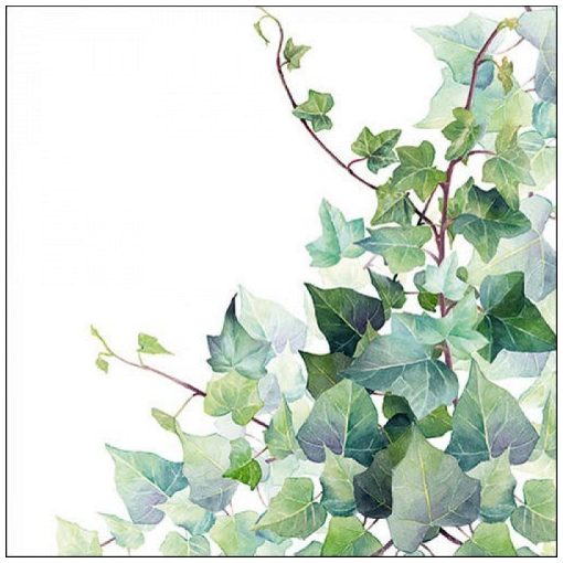 Hedera White papírszalvéta 33x33cm, 20db-os