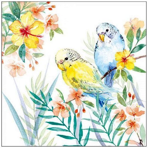 Budgies Couple papírszalvéta 33x33cm, 20db-os