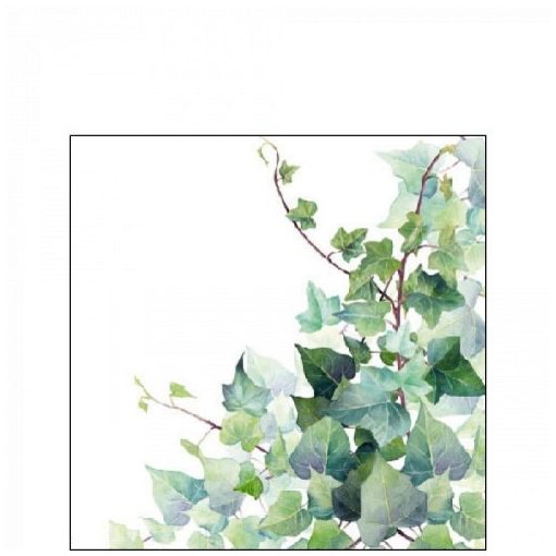 Hedera White papírszalvéta 25x25cm, 20db-os