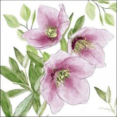 Classic helleborus papírszalvéta 33x33cm, 20db-os