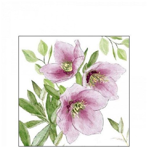 Classic helleborus papírszalvéta 25x25cm, 20db-os