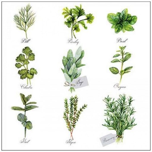 Ambiente Herb selection papírszalvéta 33x33cm, 20db-os