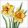 Ambiente Flowering daffodils papírszalvéta 33x33cm, 20db-os