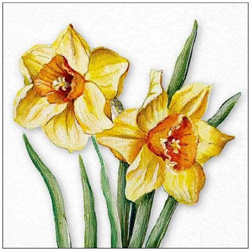 Ambiente Flowering daffodils papírszalvéta 33x33cm, 20db-os