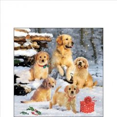   Ambiente Golden retriever puppiees papírszalvéta 25x25cm, 20db-os