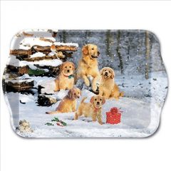 Ambiente Golden retriever puppies műanyag kistálca 13x21cm