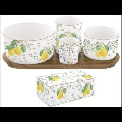   Easy Life-Nuova Porcelán kínálótálka szett 4db-os(dia:12/8/6,5/4,5cm), akácfa tálcán 29x13cm, dobozban, Fleurs et Citrons